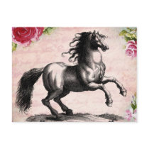 Vintage Horse Illustration Postcard