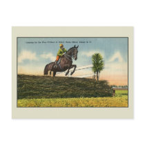 Vintage Horse Jumping Aikin SC Postcard