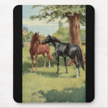 Vintage Horse Mare Stallion Equestrian Mouse Pads