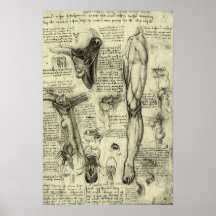 Vintage Human Anatomy Larynx Leg Leonardo da Vinci Print