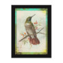 Vintage Hummingbird