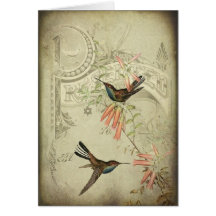 Vintage Hummingbirds Cards
