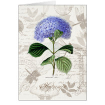 Vintage Hydrangea