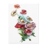 Vintage Icelandic Poppies Post Cards