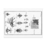 Vintage Illustration - Bees & Honeycomb Postcard