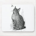Vintage illustration of Cat watching an Insect mousepads