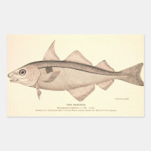Vintage illustration of Haddock Stickers