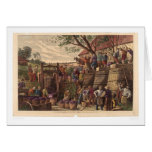 Vintage in California (0604A) cards