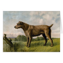 Vintage Irish Terrier on country landscape Greeting Cards
