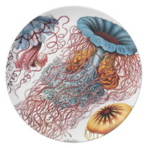 Vintage Jellyfish Marine Life Plates