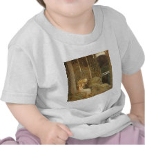 Vintage John Bauer Fantasy / Fairy Tale Art Tee Shirt
