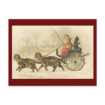Vintage kitten coach postcard