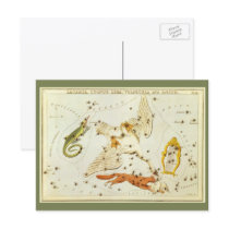 Vintage Lacerta, Cycnus, Lyra, Vulpecula and Anser
