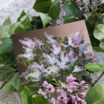 Vintage Lilacs postcards