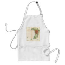 Vintage Map of Burlington Vermont (1872) Aprons