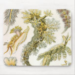 Vintage Marine Life Animals, Snails and Sea Slugs Mousepad
