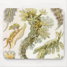 Vintage Marine Life Animals, Snails and Sea Slugs Mousepad