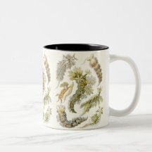 Vintage Marine Life Animals, Snails and Sea Slugs Coffee Mug