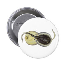 Vintage Marine Life Ocean Animal Spotted Sting Ray Pin