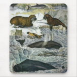Vintage Marine Life; Whales, Walruses and Seals mousepads