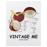 Vintage Me (Grape Berry) flyers