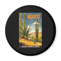 Vintage Mexico Fridge Magnet