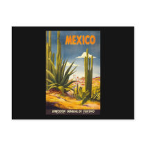 Vintage Mexico Postcards