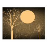Vintage Moon night postcards