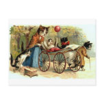Vintage Mother Cat Postcard