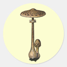 Vintage Mushroom Sticker