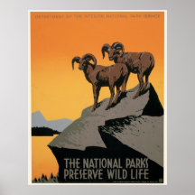 Vintage National Parks Wildlife WPA Poster