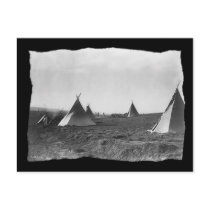 Vintage Native American Apache Tipis Postcards