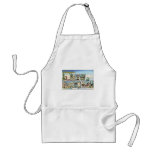 Vintage New Hampshire Postcard Apron