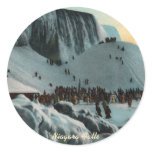 Vintage Niagara Falls Ice Stickers