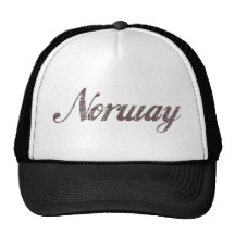 Vintage Norway Mesh Hat