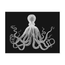Vintage Octopus Post Card