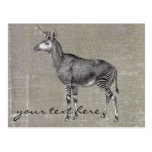 Vintage Okapi Post Cards