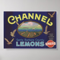 Vintage Old Lemons Fruit Crate Labels
