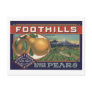 Vintage Old Retro Crate Product Goods Labels Pears