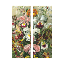 Vintage Orchids Home Decor Wrapped Canvas Print