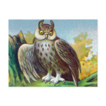 Vintage Owl Print