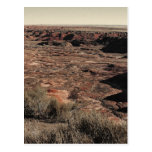 Vintage Painted Desert Post Card