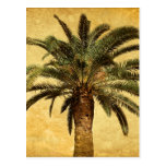 Vintage Palm Tree - Tropical Customised Template Post Cards