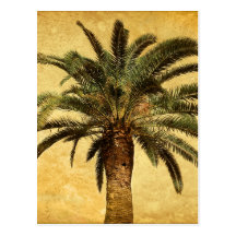 Vintage Palm Tree - Tropical Customised Template Post Cards