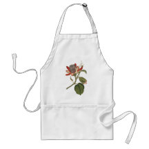 Vintage Passion Flower Aprons
