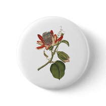 Vintage Passion Flower