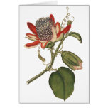 Vintage Passion Flower Card