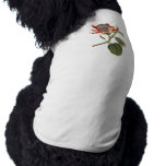 Vintage Passion Flower pet clothing