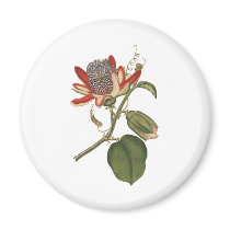 Vintage Passion Flower