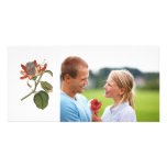 Vintage Passion Flower photo cards